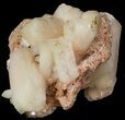 Peach Colored Stilbite Crystal Cluster - India #44437-1